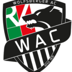 沃尔夫斯贝格队标